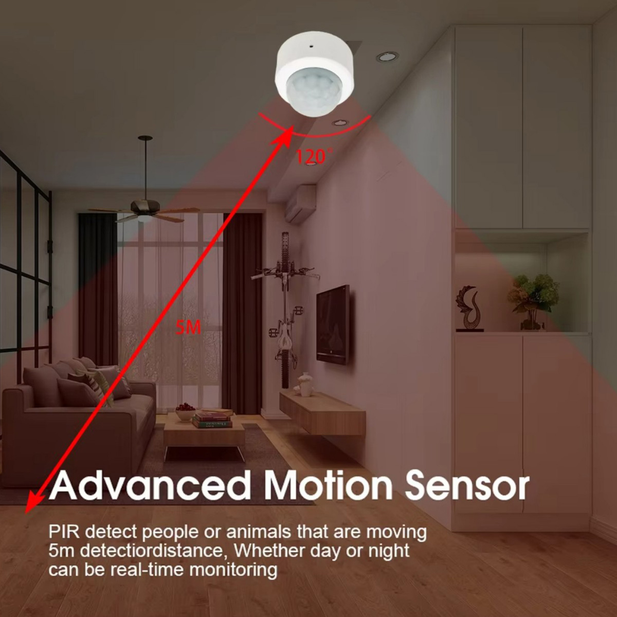 เซ็นเซอร์ตรวจจับความเคลื่อนไหว - Smart Home Wiser บทวิจารณ์และราคา