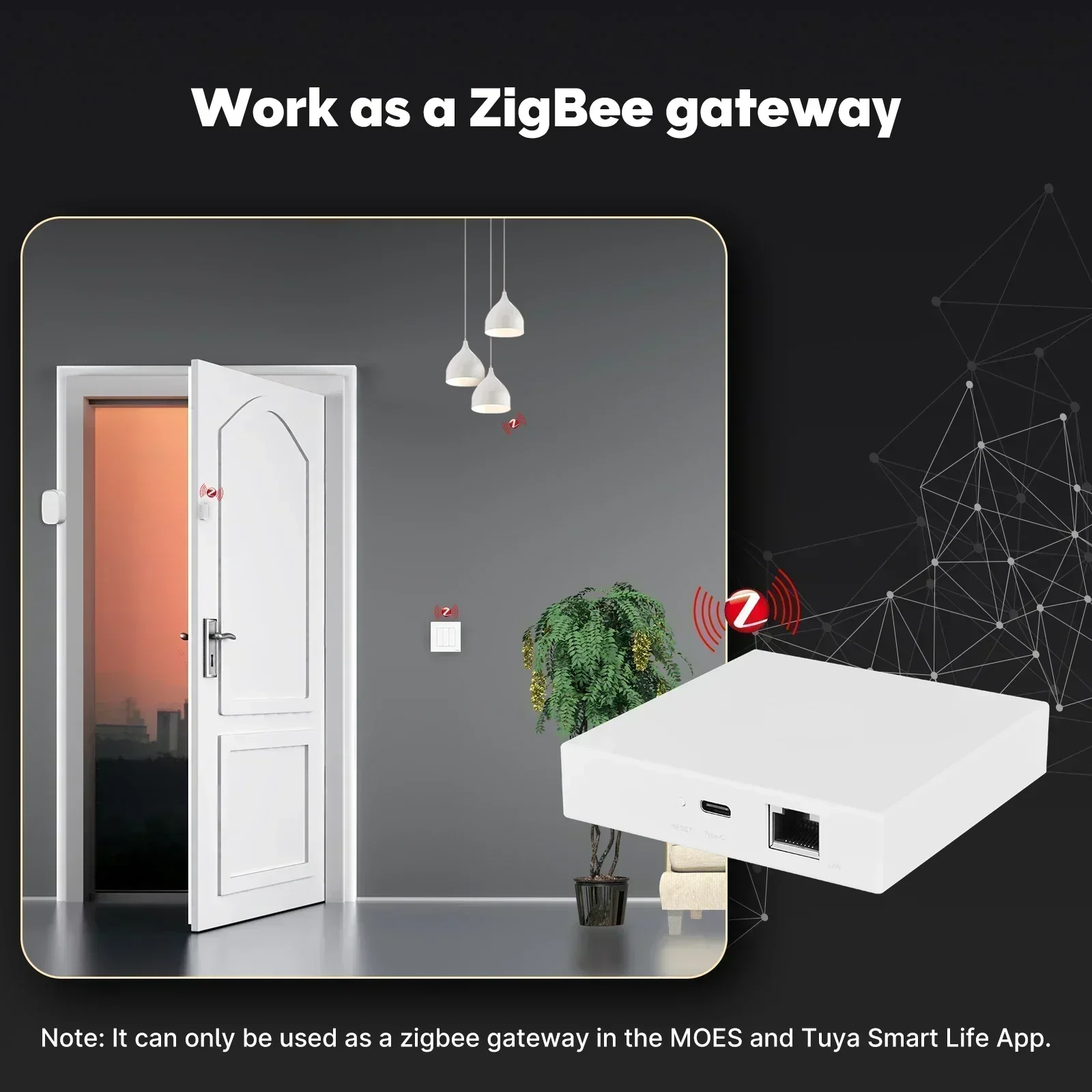 MOES Tuya Zigbee Matter Thread - Smart Home Voice Assistant บทวิจารณ์และราคา