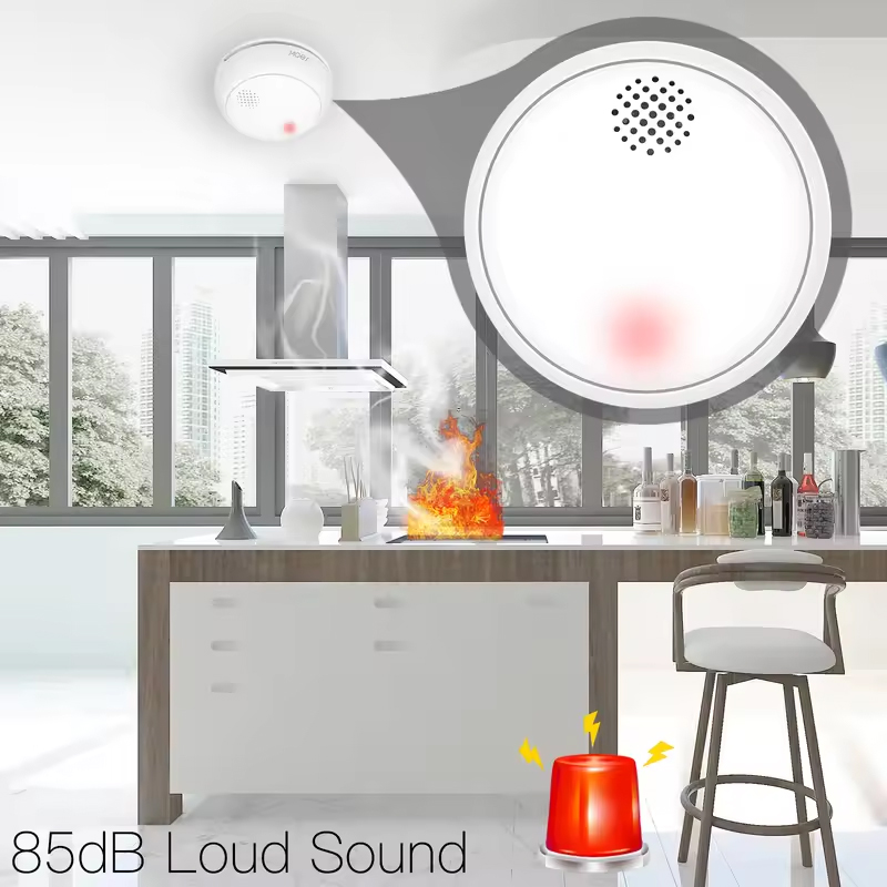 MOES ZigBee เครื่องตรวจจับควัน - Smart Home Kitchen บทวิจารณ์และราคา