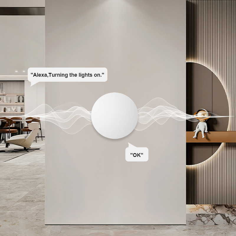 สวิตช์ควบคุมฉากไร้สาย ZigBee ส - Smart Home Voice Assistant บทวิจารณ์และราคา
