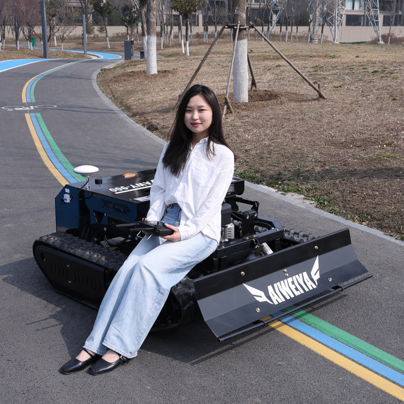 เครื่องตัดหญ้าแบบกำหนดเองได้ ข - Smart Home Or Smart Home บทวิจารณ์และราคา