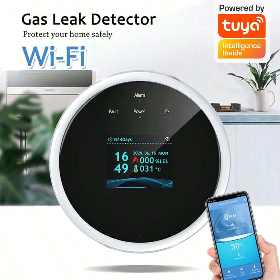 เซ็นเซอร์เตือนแก๊สรั่ว 2.4G Wi - Smart Home Ecosystems บทวิจารณ์และราคา
