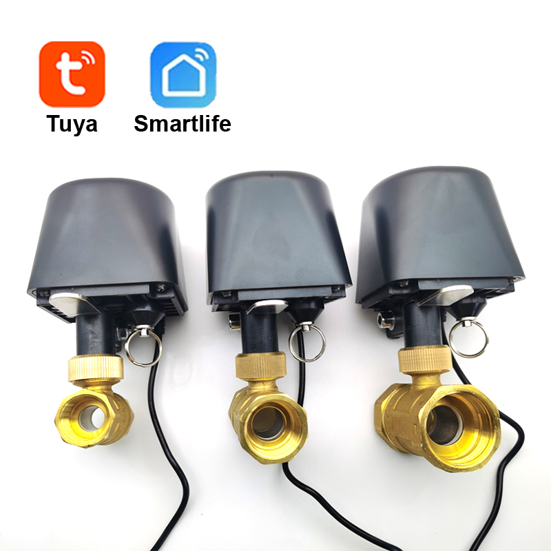 Tuya WiFi หรือ Zigbee วาล์วน้ํ - Smart Home Google Assistant บทวิจารณ์และราคา